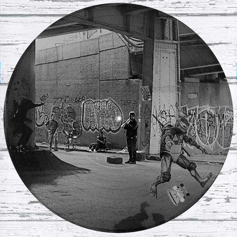 #106 Donatello Ninja Turtle Skateboard Vinyl Record Photo Art  Black and White Wall Art