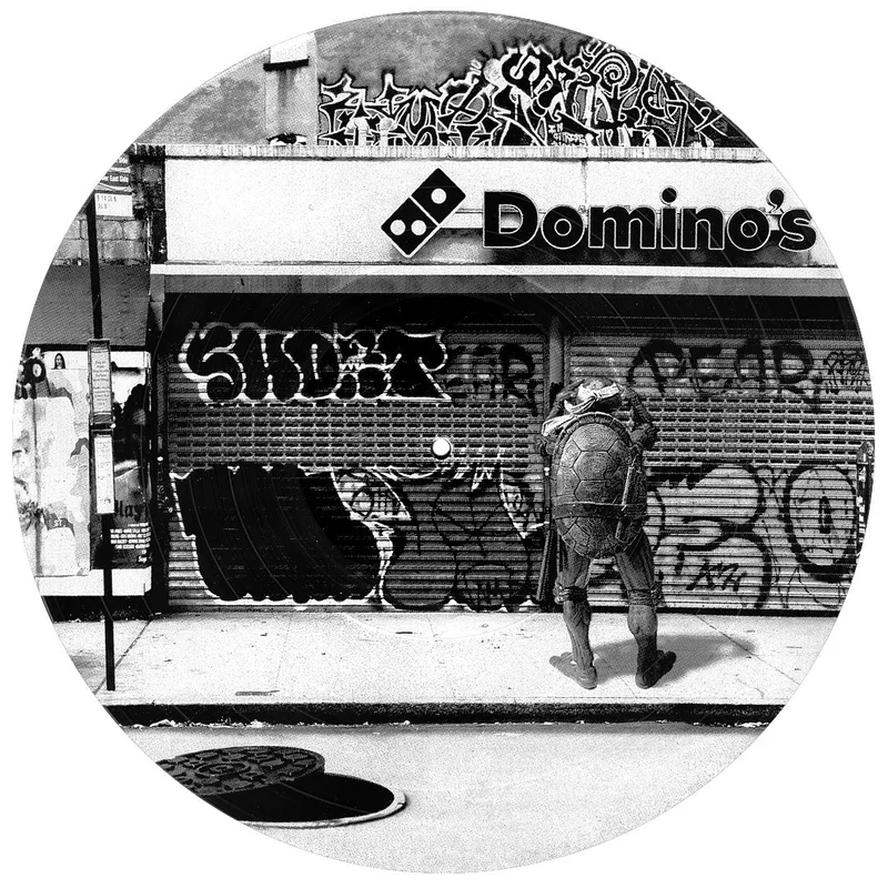 #119 Michelangelo Ninja Turtle Vinyl Record Photo Art  Black and White Wall Art