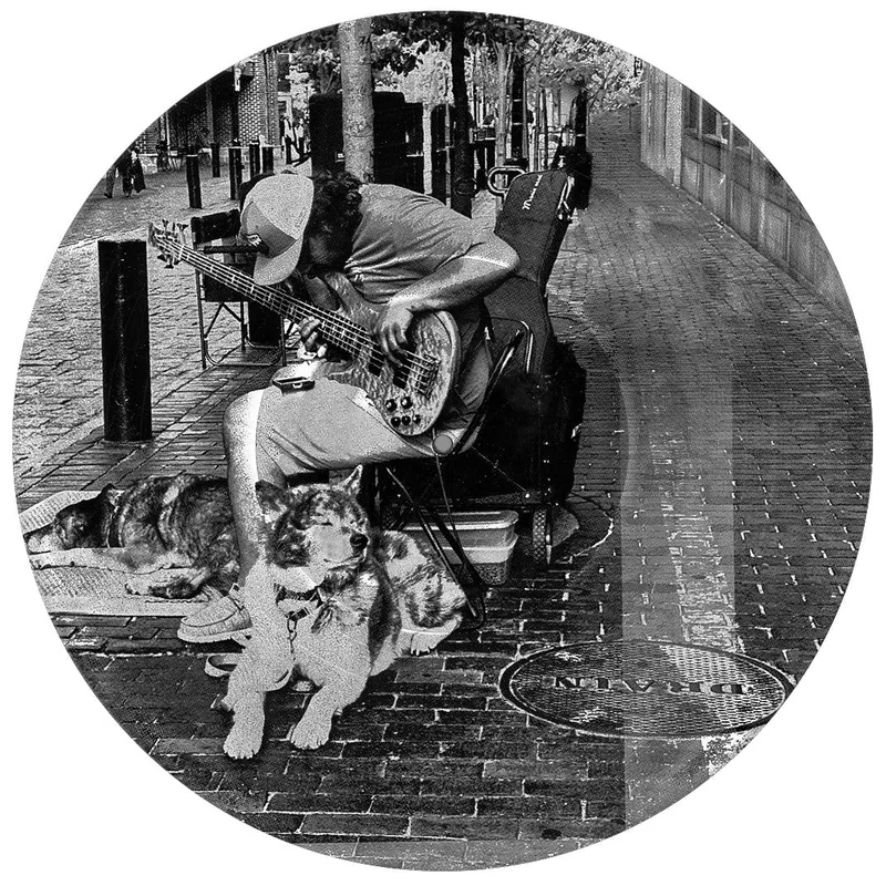 #133 Salem Bass Player with Doggies