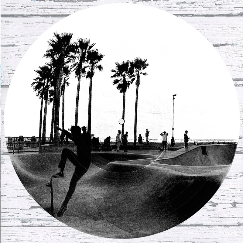 #135 Venice Beach Skatepark Vinyl Record Photo Art Black and White Wall Art