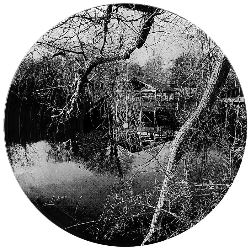 #39 Cabin In The Woods - Record For Your Wall #39