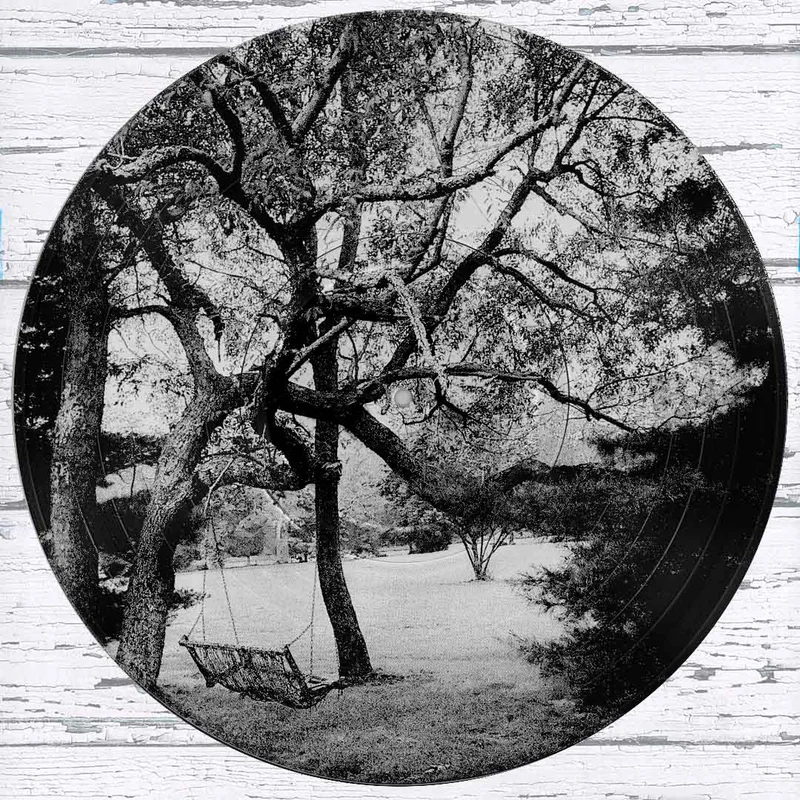 #99 Swing in the Woods