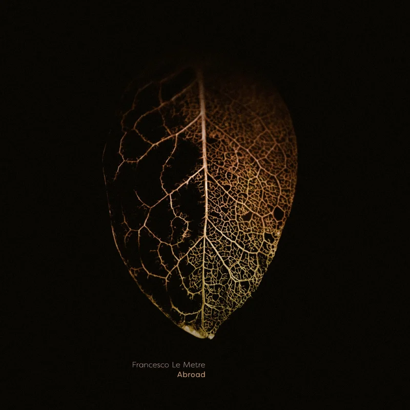 Abroad LP by Francesco Le Metre Black Vinyl