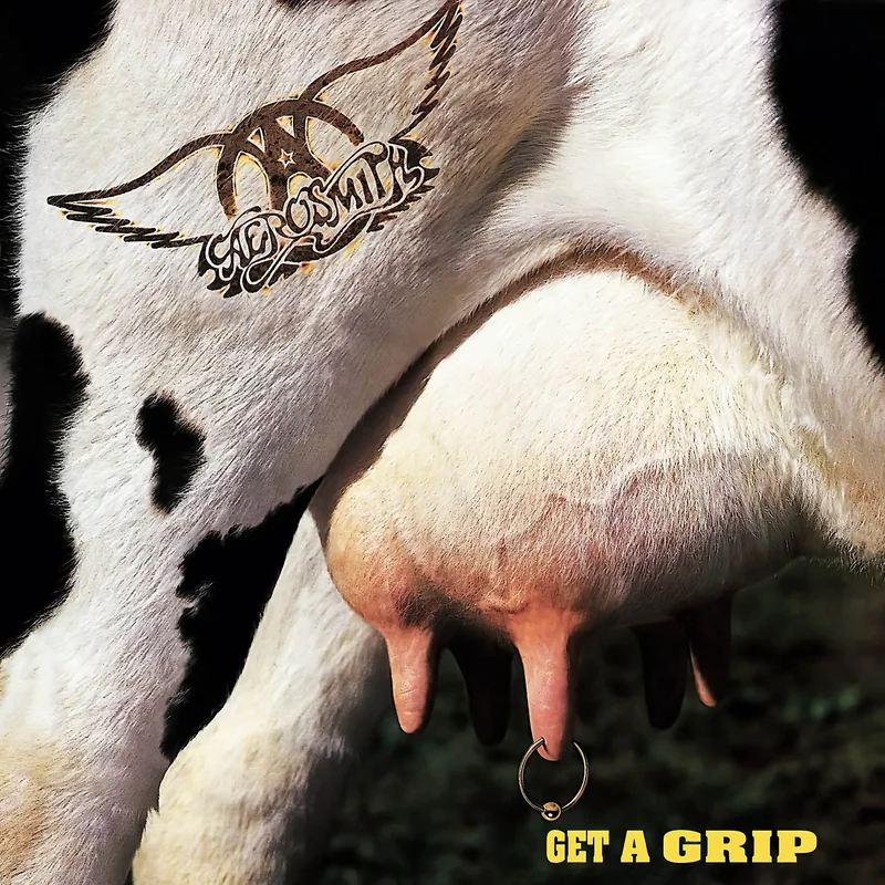 Aerosmith - Get A Grip [2 LP, 180g Black Vinyl]