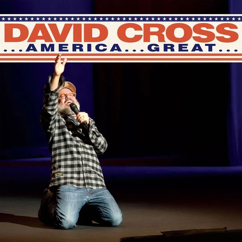 ...America...Great... LP by David Cross Orange/Yellow Split Vinyl