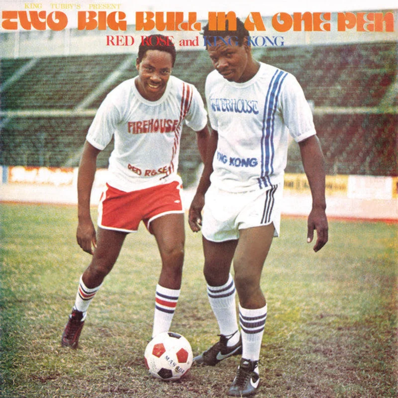 Anthony Red Rose | King Tubby's Present: Two Big Bull In A One Pen (New)