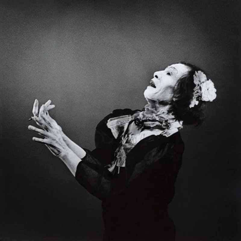 Antony And The Johnsons | The Crying Light (New)