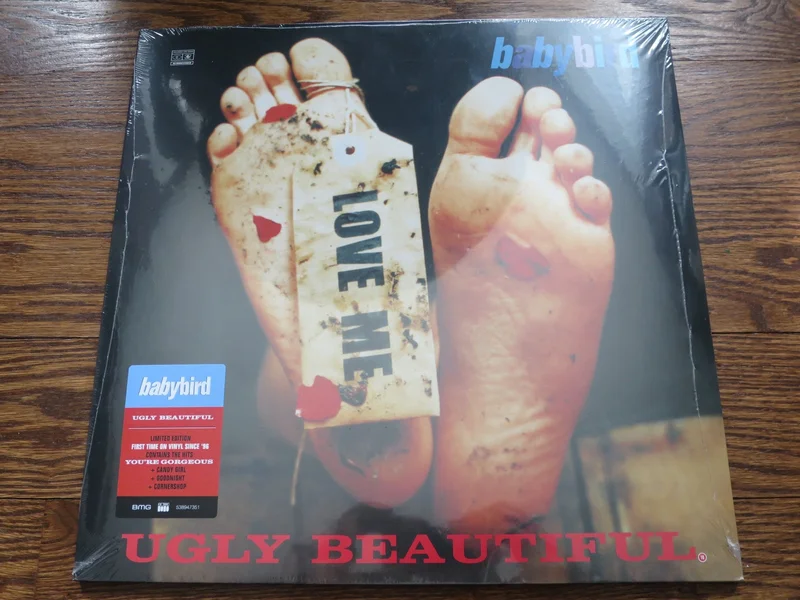 Babybird - Ugly Beautiful