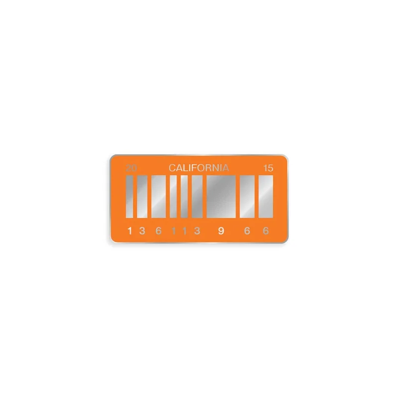 Back to the Future  2015 License Plate Enamel Pin