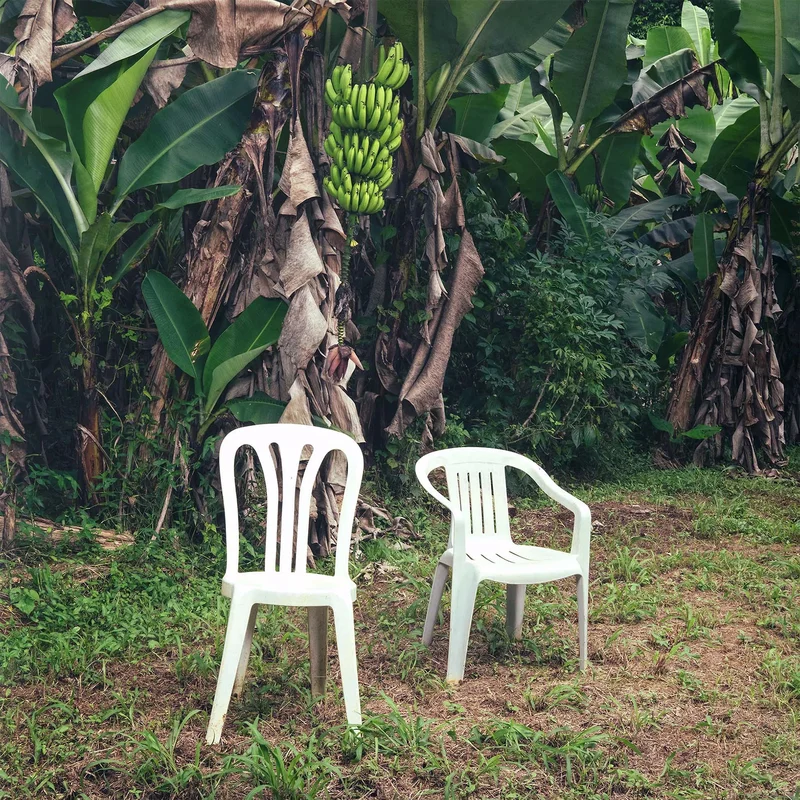 Bad Bunny - Debi Tirar Mas Fotos [2 LP, Opaque White Vinyl]