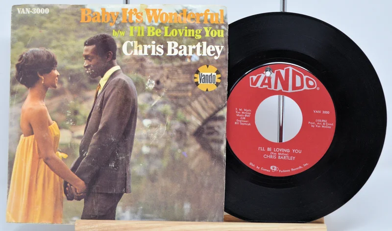 Bartley, Chris Baby It's Wonderful