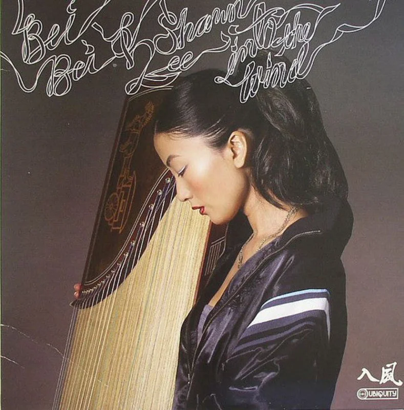 Bei Bei | Into The Wind (New)