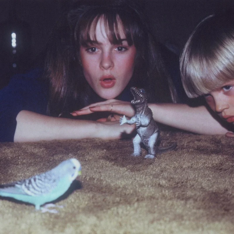Big Thief Masterpiece (archived)