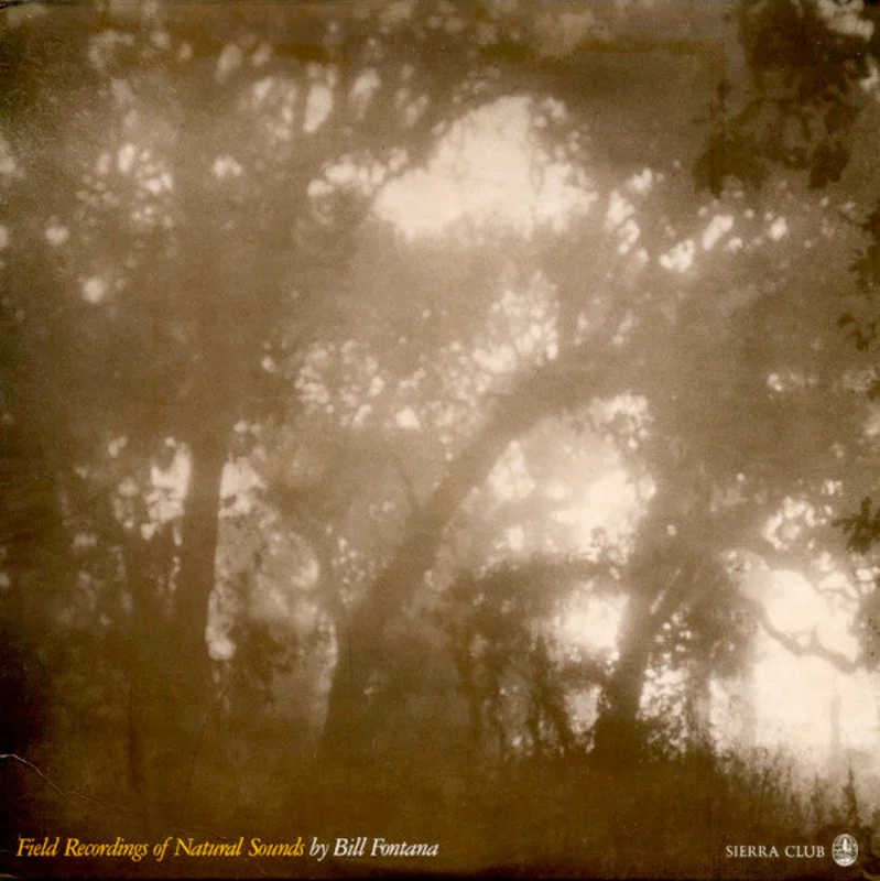 Bill Fontana | Field Recordings Of Natural Sounds