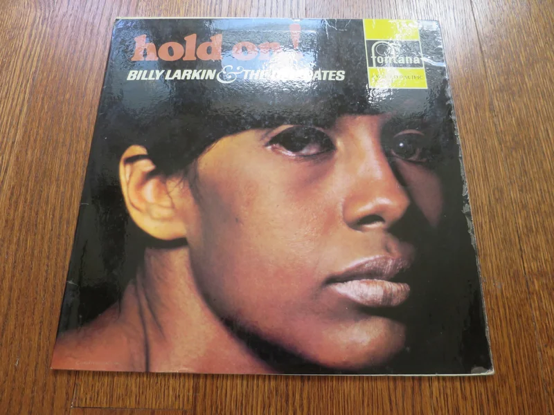 Billy Larkin & The Delegates - Hold On!