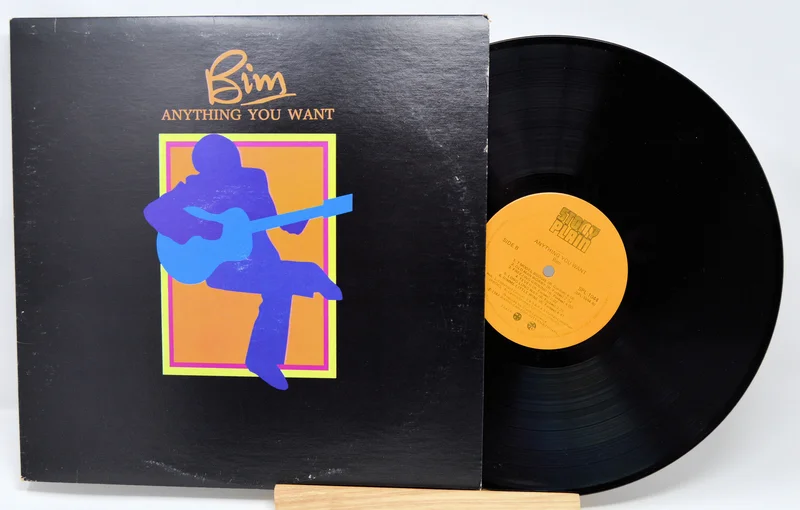 Bim - Anything You Want