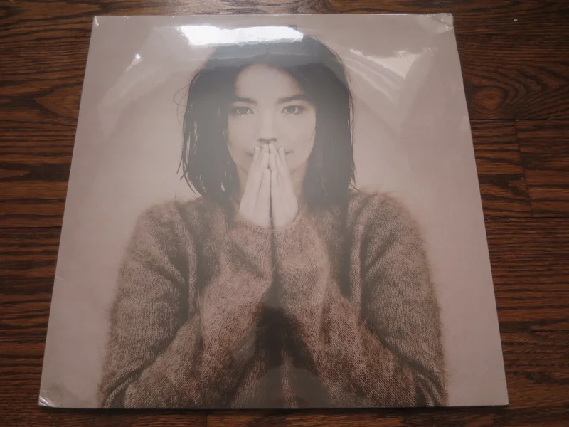 Bjork - Debut