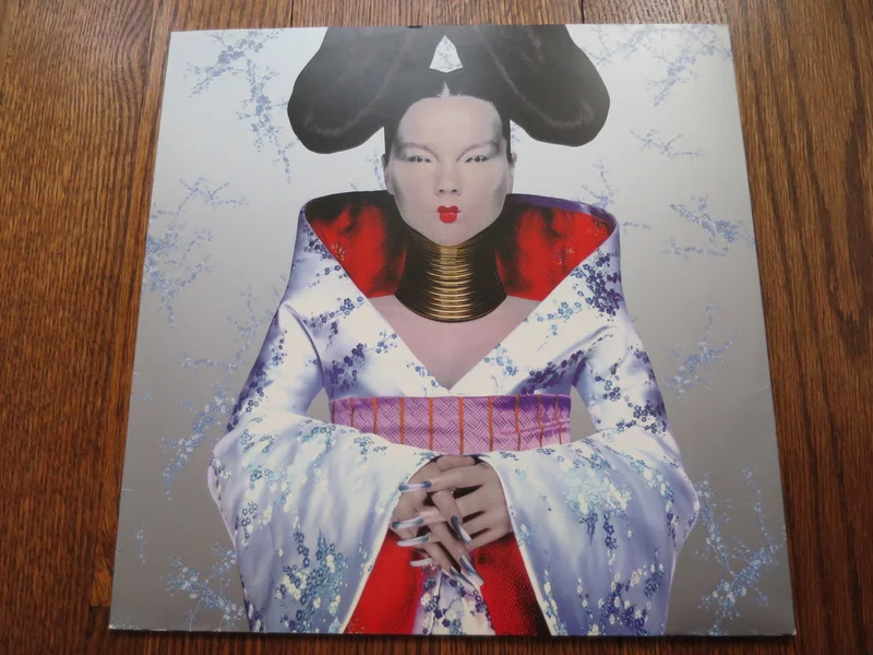 Bjork - Homogenic