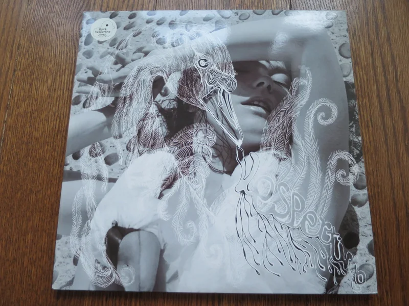 Bjork - Vespertine