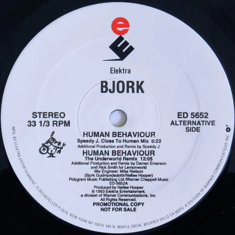 Bjrk | Human Behaviour
