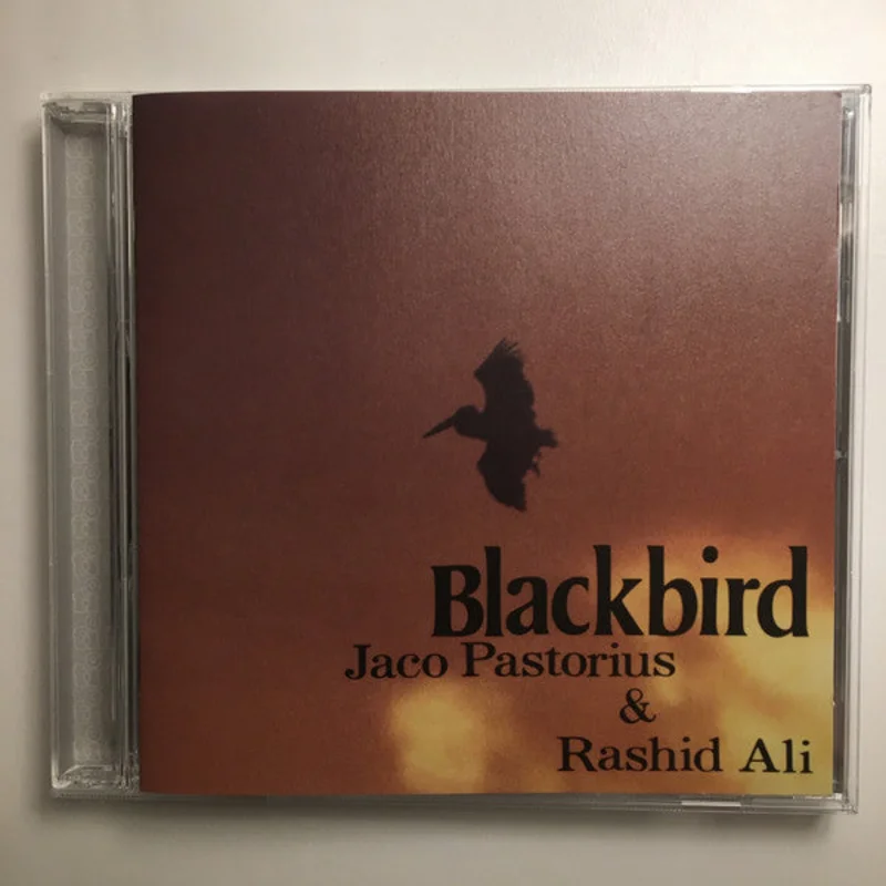 Blackbird