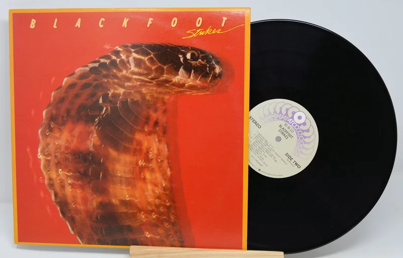 Blackfoot - Strikes