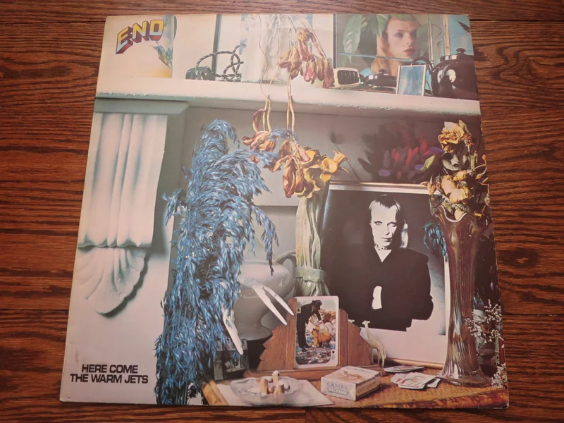 Brian Eno - Here Come The Warm Jets (original)