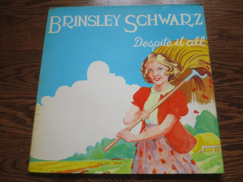 Brinsley Schwarz - Despite It All