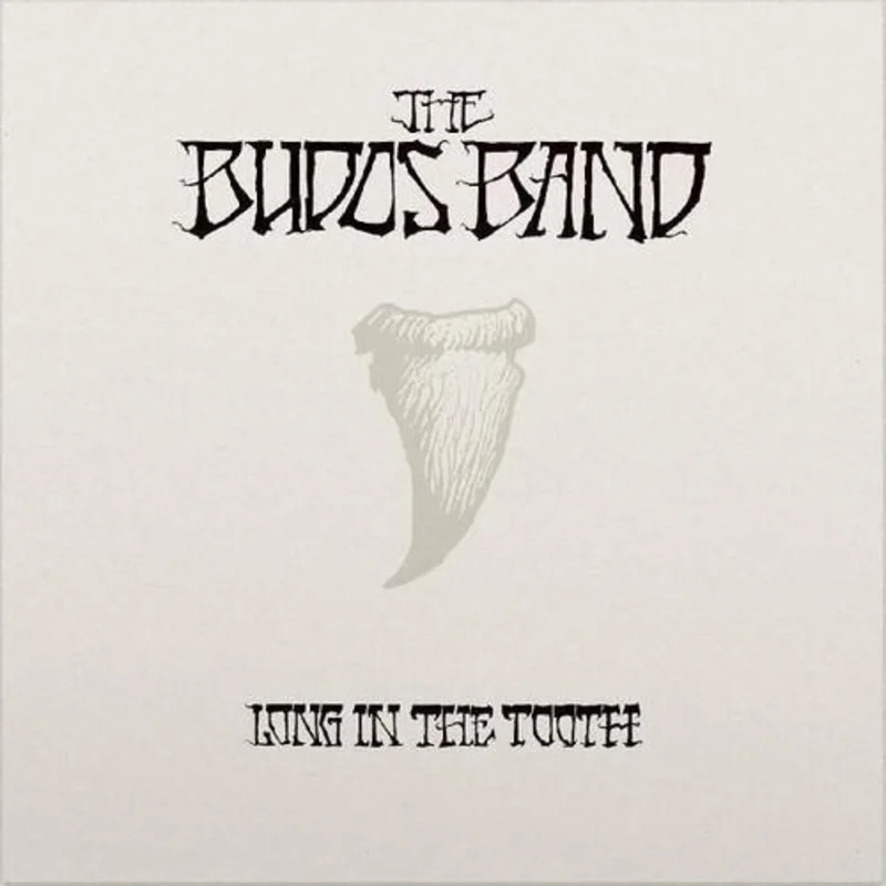 Budos Band - Long In The Tooth