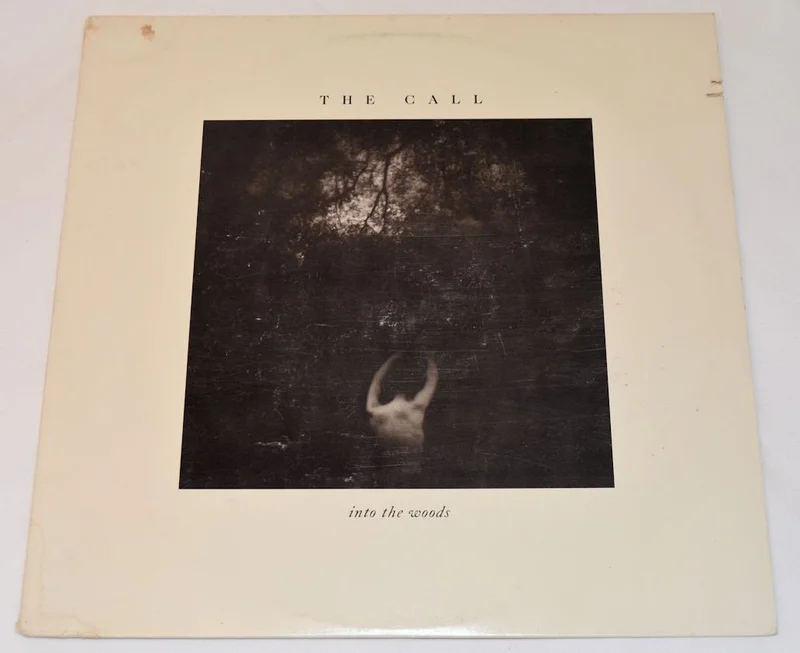 Call, The - Into The Woods