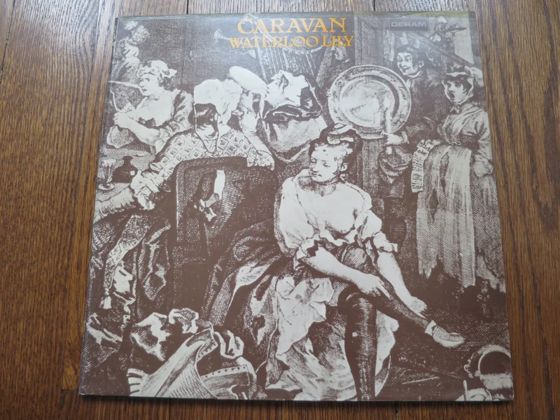Caravan - Waterloo Lily
