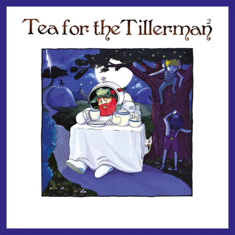 Cat Stevens (Yusuf Islam )-Tea For The Tillerman LP