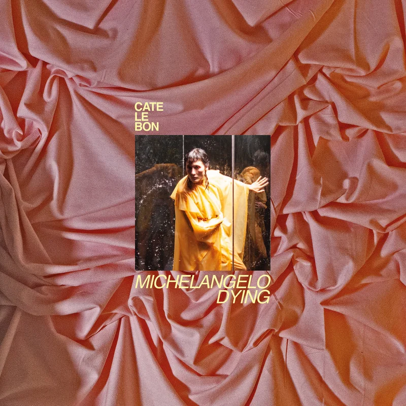 Cate Le Bon - Michelangelo Dying