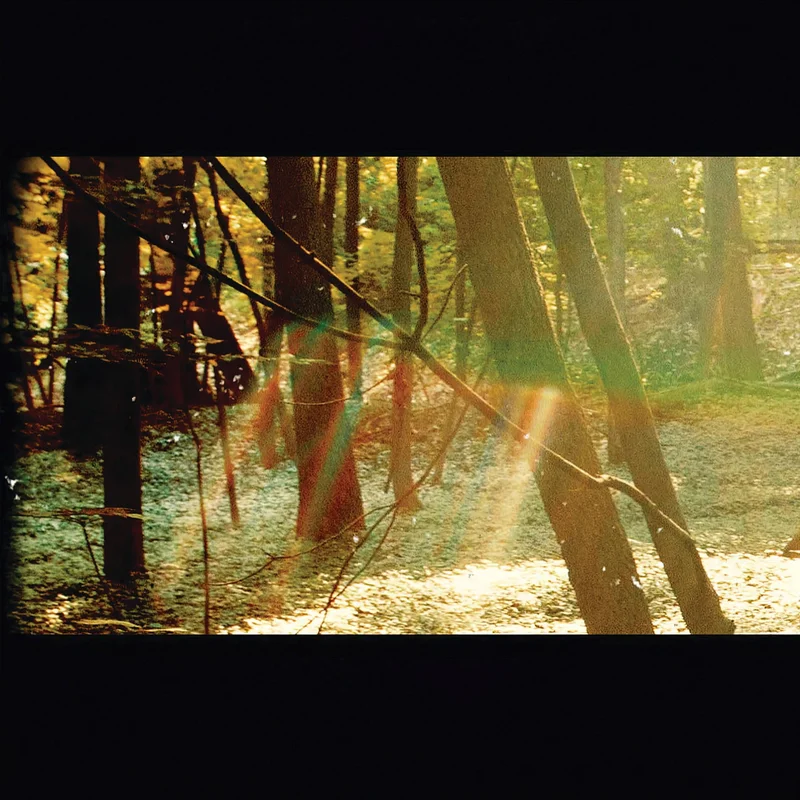 Childish Gambino - Camp [2 LP, 180g Black Vinyl, Gatefold]
