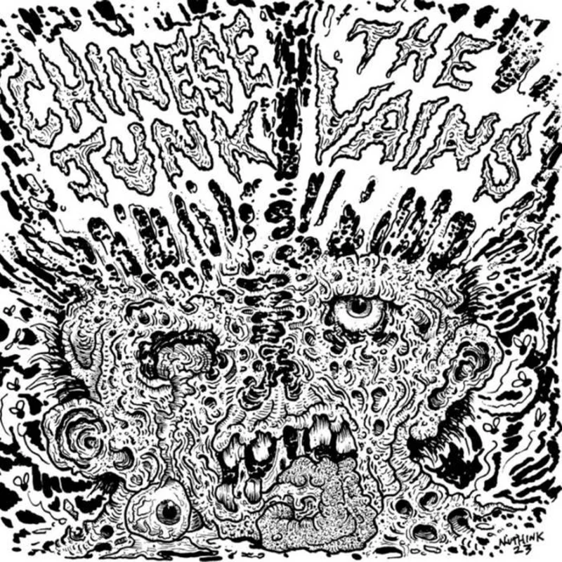 CHINESE JUNK/ VAINS 7"