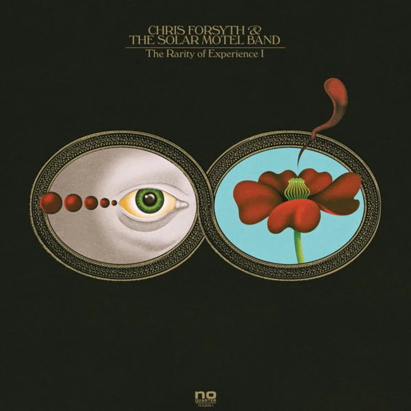Chris Forsyth & The Solar Motel Band | The Rarity Of Experience (New)