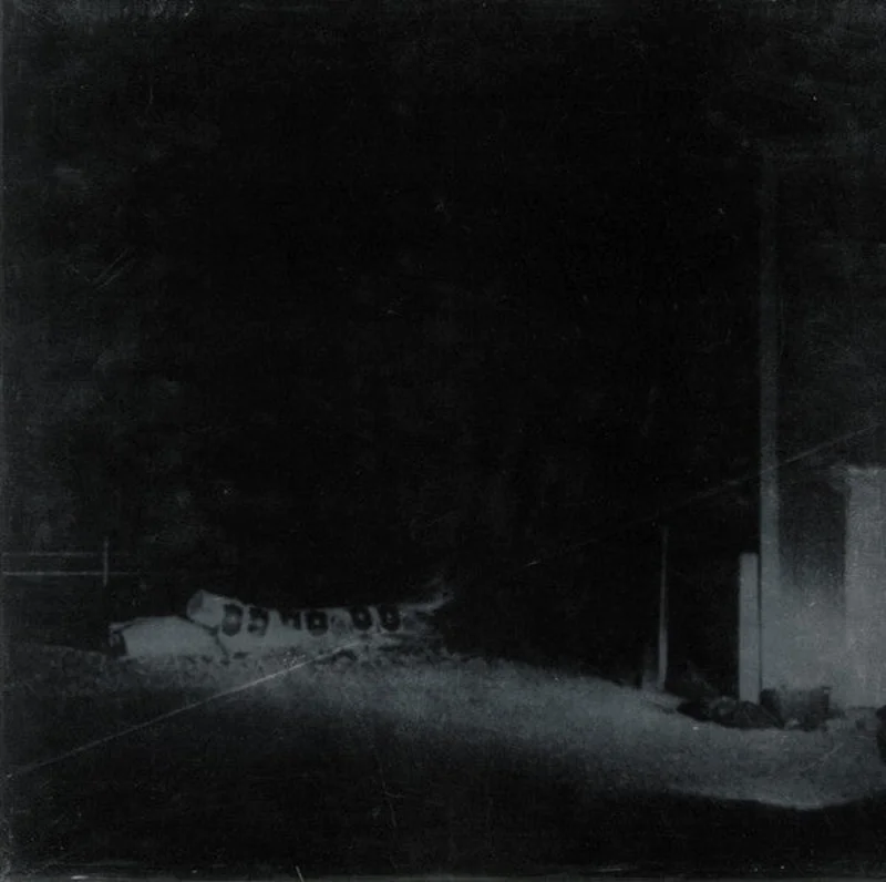 Cloud Nothings | Last Building Burning (New)