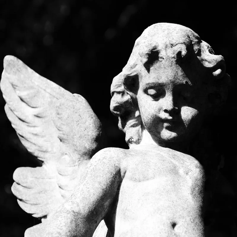 Cold Cave - Passion Depression