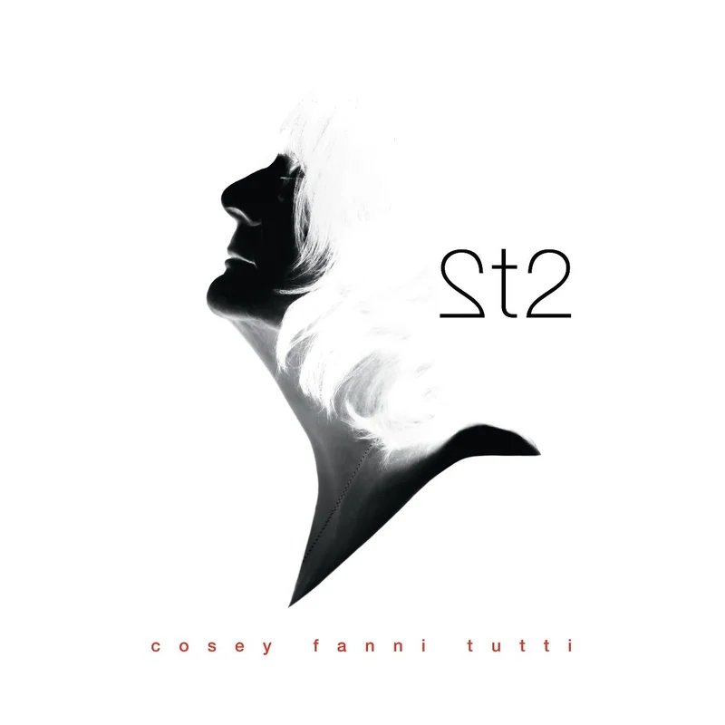 Cosey Fanni Tutti 2t2