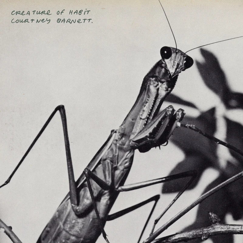 Courtney Barnett - Creature of Habit