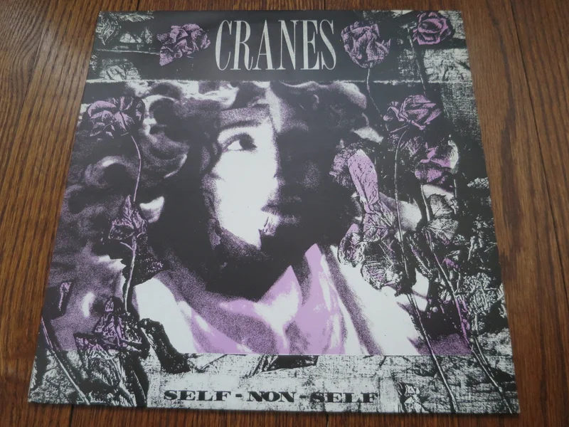 Cranes - Self-Non-Self