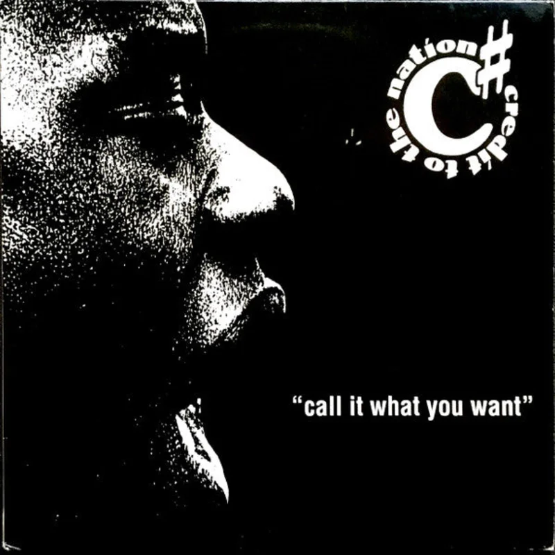 Credit To The Nation-Call It What You Want 12" Single