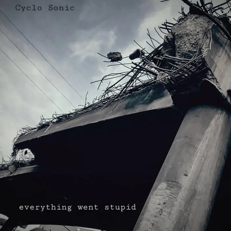 CYCLO-SONIC- Everything Went Stupid LP