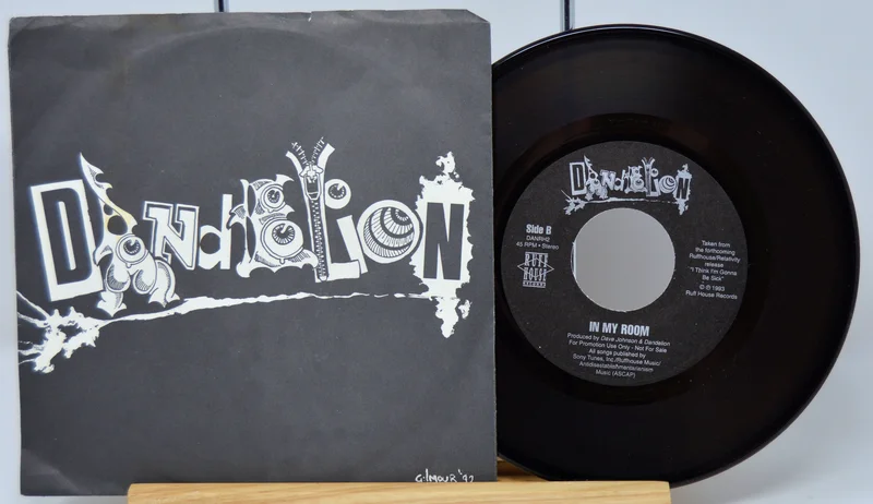 Dandelion - Diggin A Hole