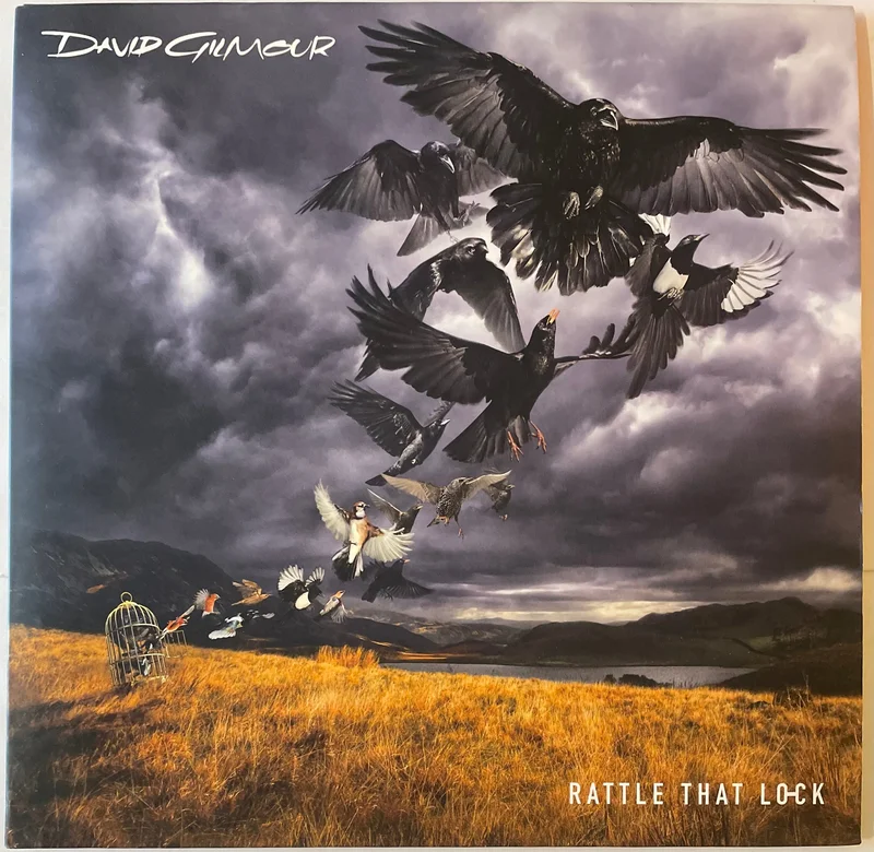 David Gilmour - Rattle That Lock Lp
