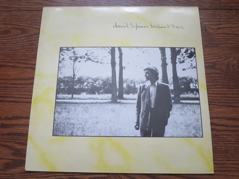 David Sylvian - Brilliant Trees
