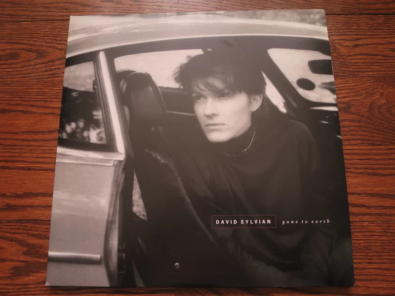 David Sylvian - Gone To Earth