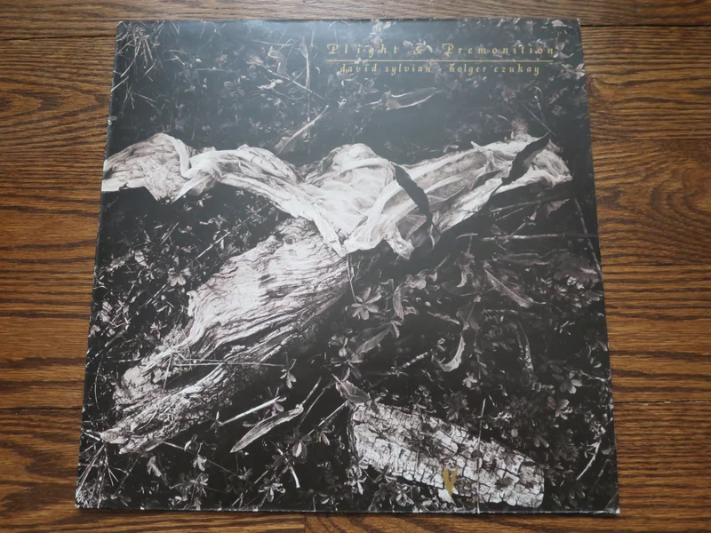 David Sylvian & Holger Czukay - Plight & Premonition