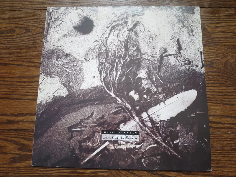 David Sylvian - Secrets Of The Beehive