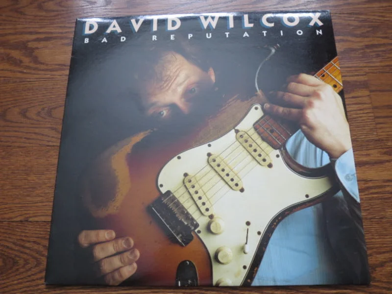 David Wilcox - Bad Reputation